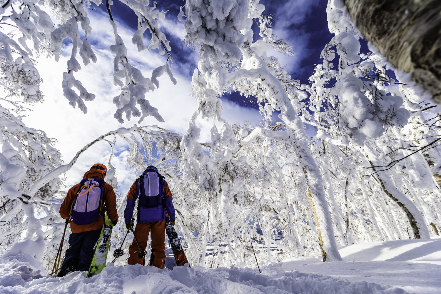 skiing at Rusutsu